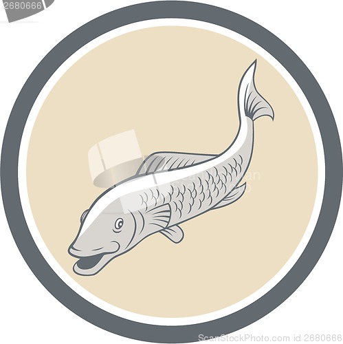 Image of Trout Swimming Cartoon Circle