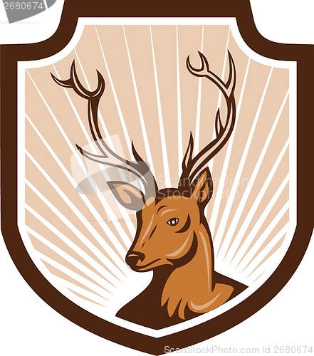 Image of Deer Stag Buck Antler Head Shield