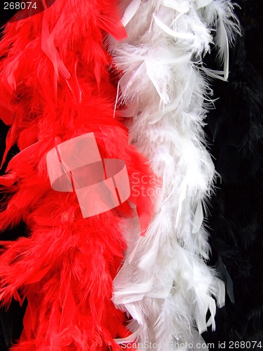 Image of Fashion feathers