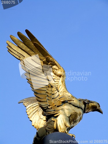 Image of Golden eagle