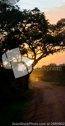 Image of Evening safari in the savanna