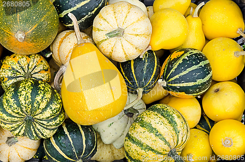 Image of autumn theme with many gourds, pumpkins