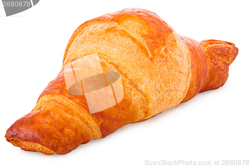 Image of Gold-brown baked croissant in front of a white background 