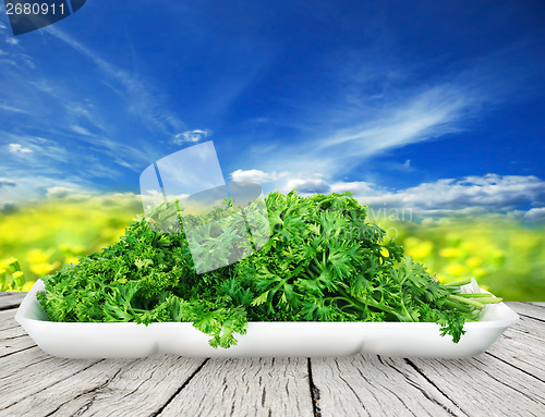 Image of Bunch of ripe parsley isolated on white background