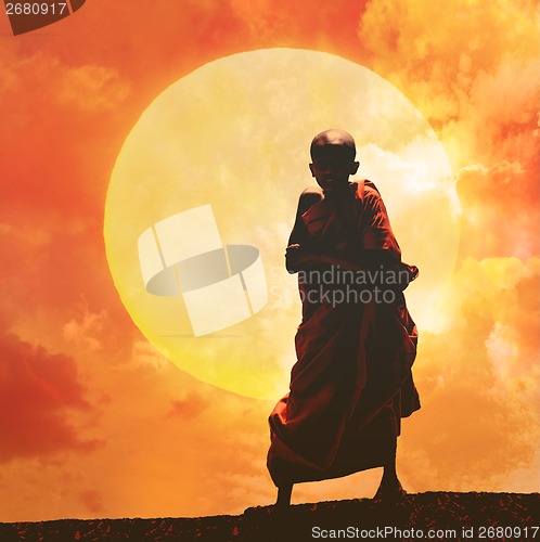 Image of young Buddhist monk