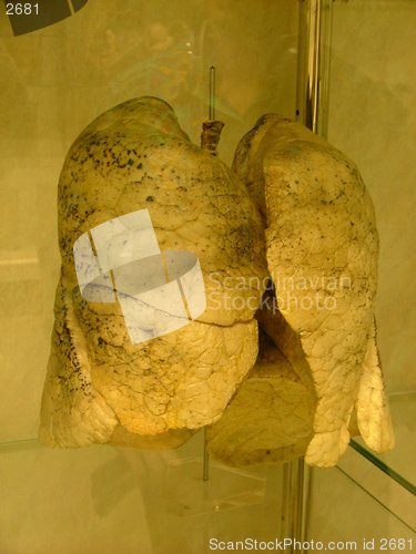 Image of autopsy room in a medical faculty - display