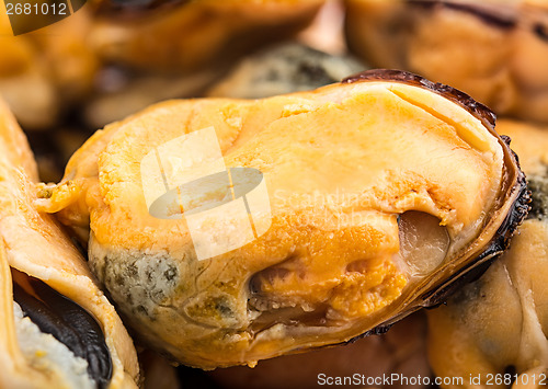 Image of mussels closeup