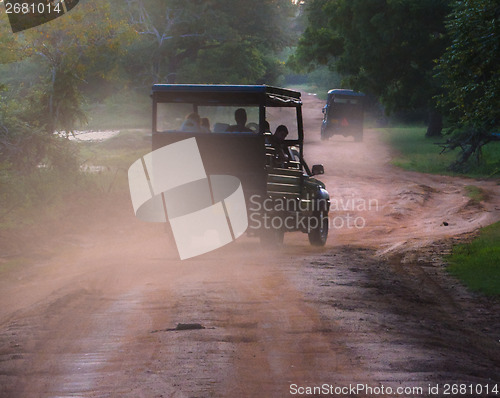 Image of Evening safari in the savanna