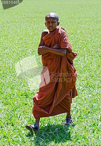 Image of young Buddhist monk