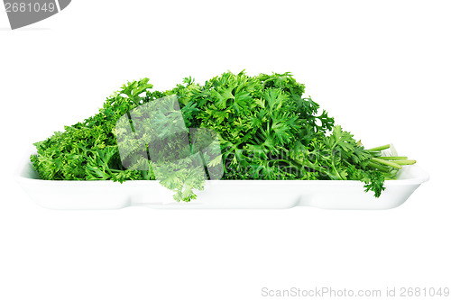 Image of Bunch of ripe parsley isolated on white background