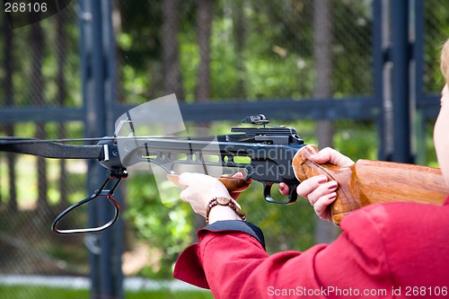 Image of Crossbow