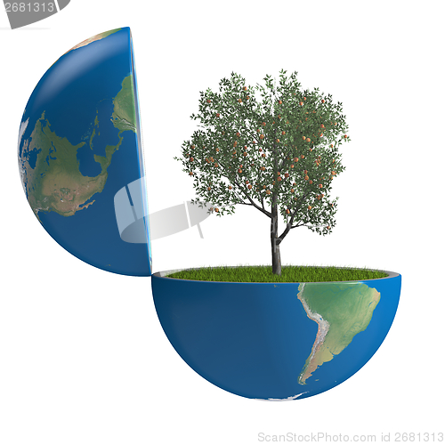 Image of Fruit tree inside planet