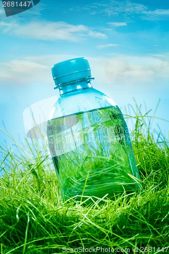 Image of Water bottle on the grass