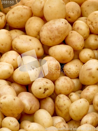 Image of Organic potatoes