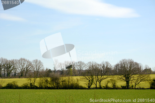 Image of Green fields with new crops in Kent, England