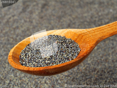 Image of Poppy seeds