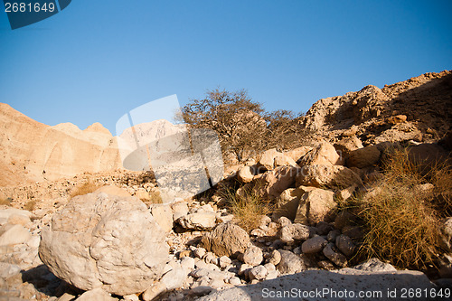 Image of Mountains in stone desert nead Dead Sea