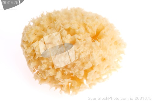 Image of Bath sponge isolated on white background