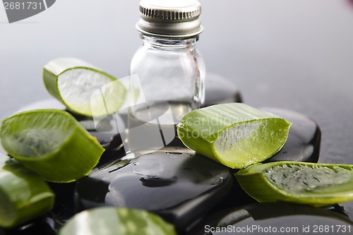 Image of Sliced aloe leaves with oil on the stone