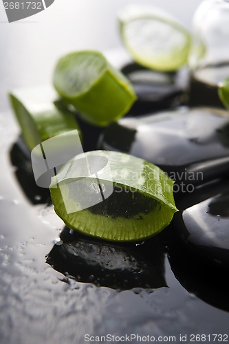 Image of Sliced aloe leaves with oil on the stone