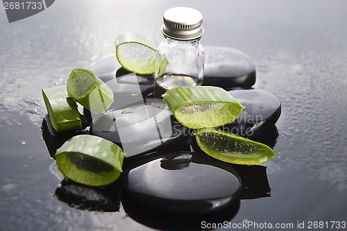 Image of Sliced aloe leaves with oil on the stone