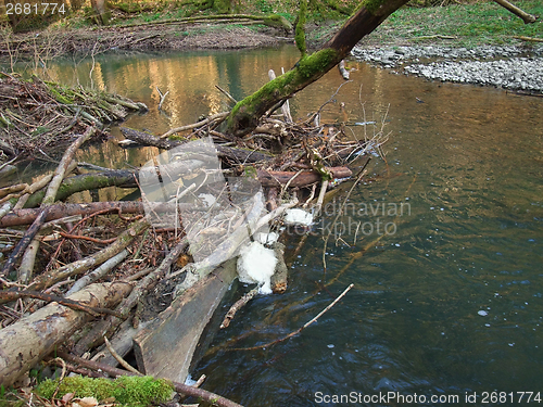 Image of riverside scenery