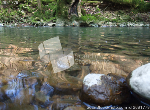 Image of riverside scenery