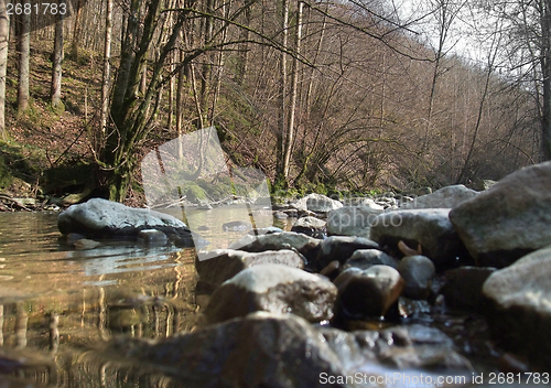 Image of riverside scenery