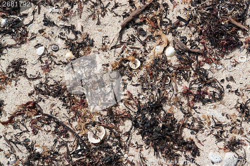 Image of abstract beach detail