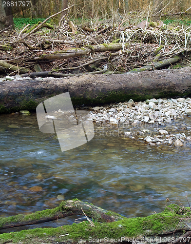 Image of riverside scenery