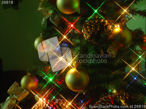 Image of Christmas tree