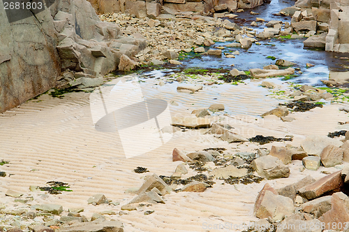 Image of coastal detail