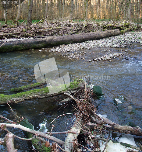 Image of riverside scenery