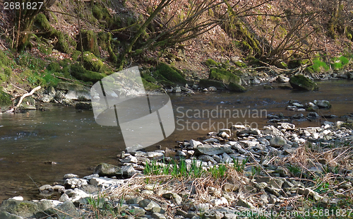 Image of riverside scenery