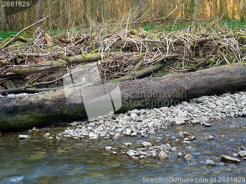 Image of riverside scenery