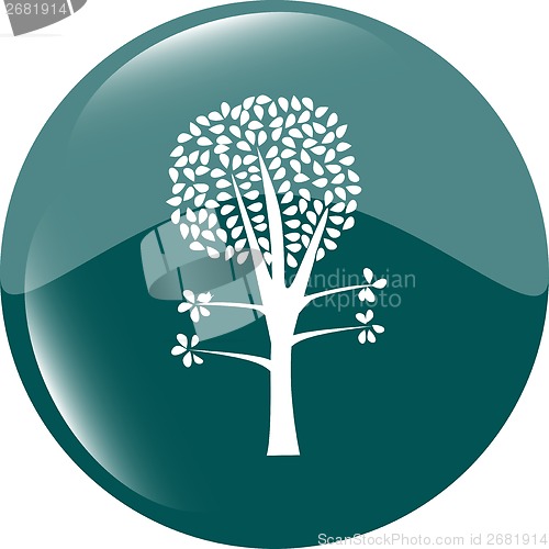 Image of tree on icon button isolated on white