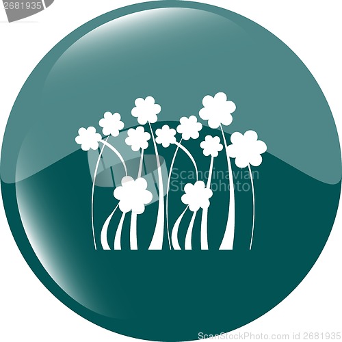 Image of Flower web icon button isolated on white