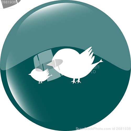 Image of Glossy isolated website and internet web icon with bird family sign