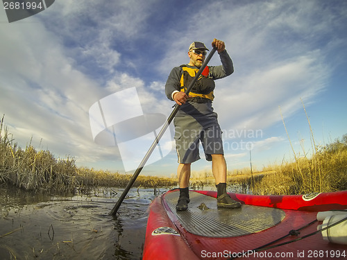 Image of stand up paddling (SUP) in a wetland