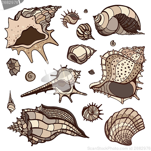 Image of Sea shells set.