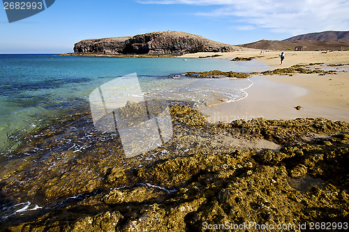 Image of people water in lanzarote  cloud beach   musk  summer  