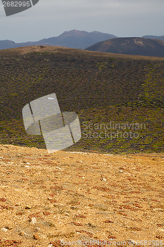 Image of car viticulture  winery lanzarote spain