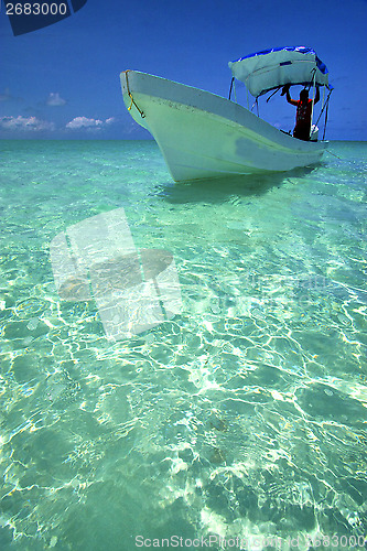 Image of  tent in the  blue lagoon relax and boat   mexico