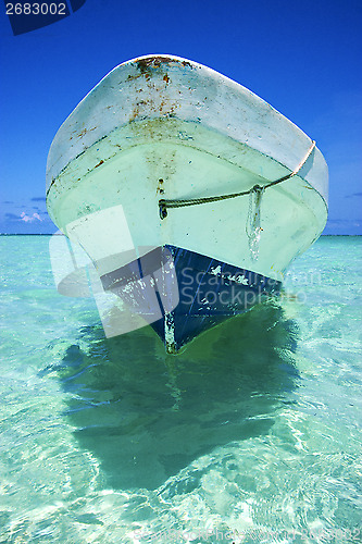 Image of  the  blue lagoon relax and boat   of sian kaan in mexico