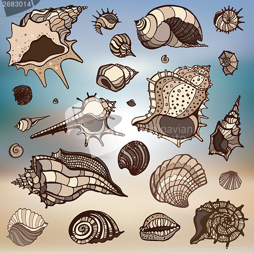 Image of Sea shells set.  Blurred background.