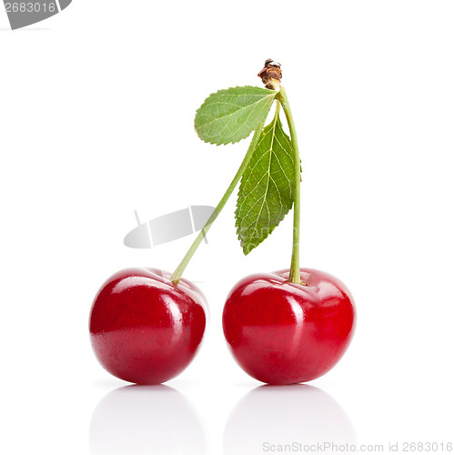 Image of Red cherry with leaves isolated on white