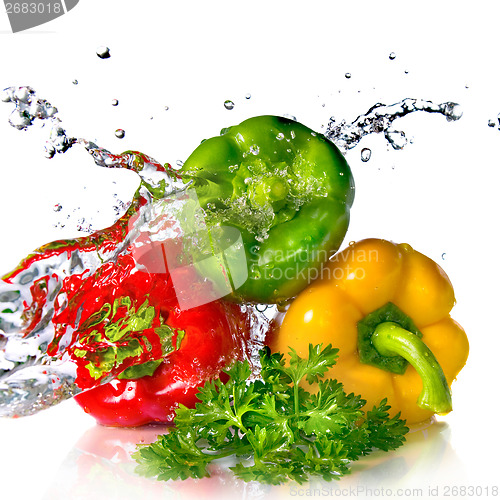 Image of red, yellow, green pepper and parsley with water splash isolated