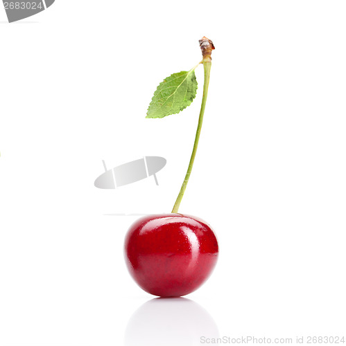 Image of Red cherry with leaves isolated on white