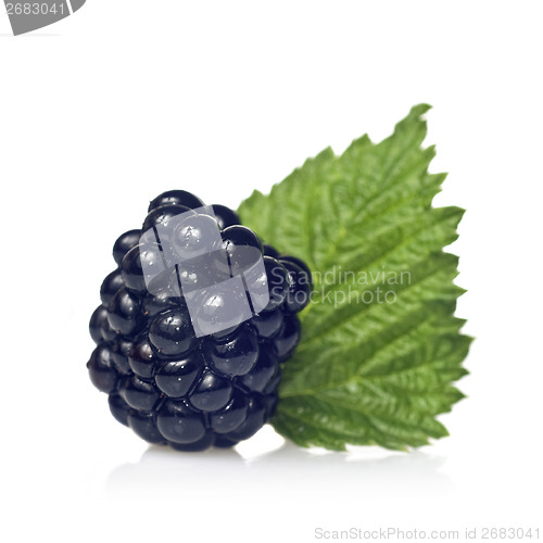 Image of blackberry with green leaf isolated on white