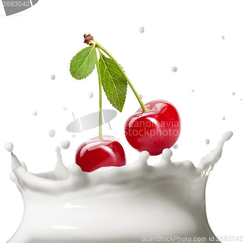 Image of Milk splash isolated on white